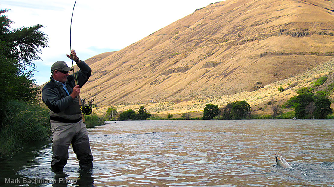 Jack Henderson gets ready to beach a summer steelhead hooked on the Deschutes River with a Fly du Jour.