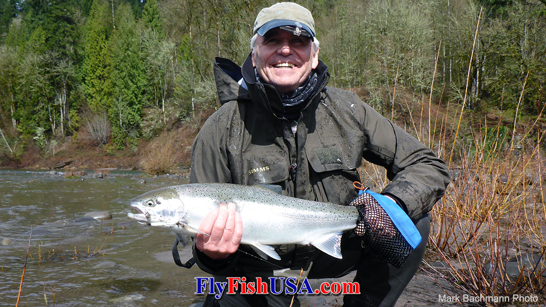An Oregon angler with a winter steelhead caught from the Sandy River with a  Black and Blue Mark's Tube spey Intruder as tied by Mark Bachmann, picture.