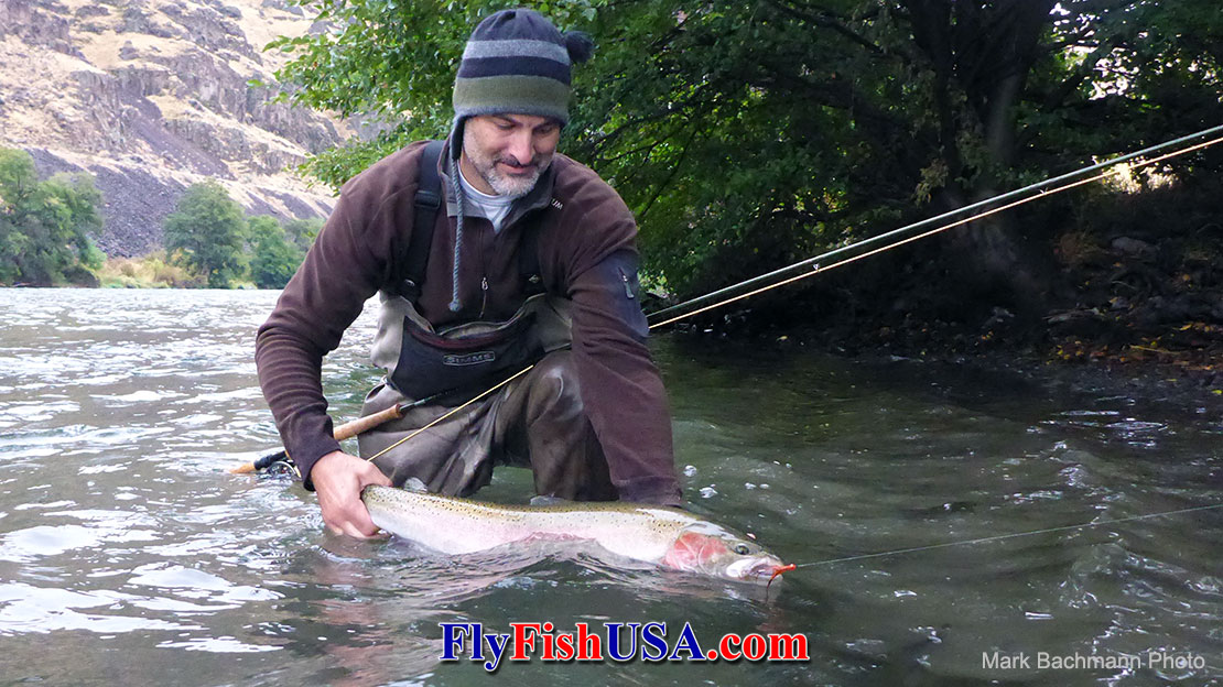 Picture of an angler on the Deschutes river in Oregon with a large steelhead caught with a Pick Yer Pocket fly.