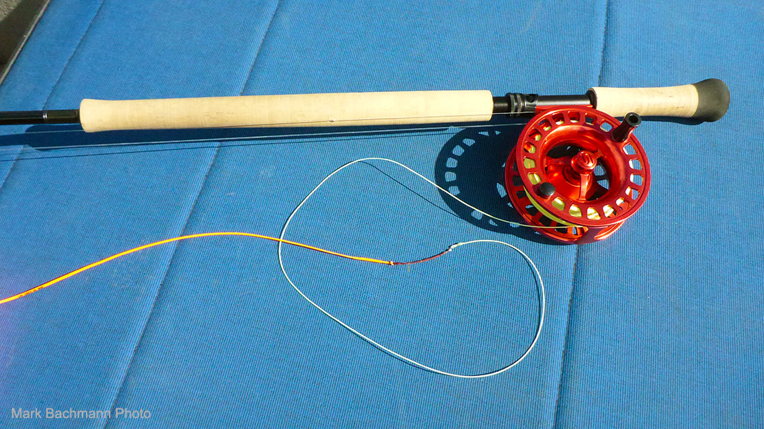 A picture of a modern Spey rod/reel setup with a shooting head fly line installed.