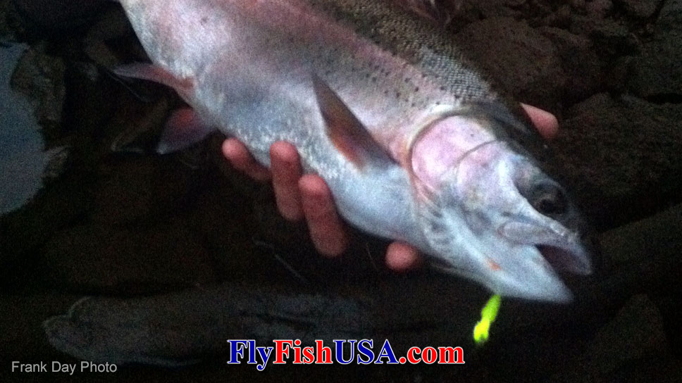 Photo of a large rainbow trout caught on a Hexaginia fly from Lost lake near Mt. Hood.