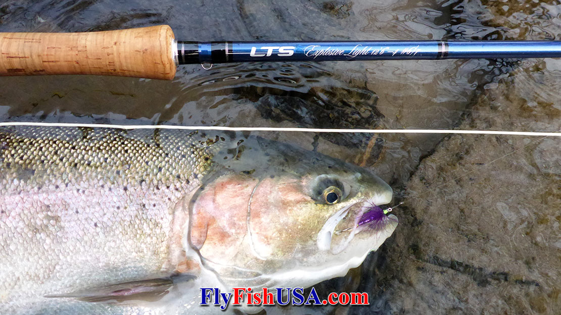 LTS Explosive Lt Series Two Hand Fly Rods