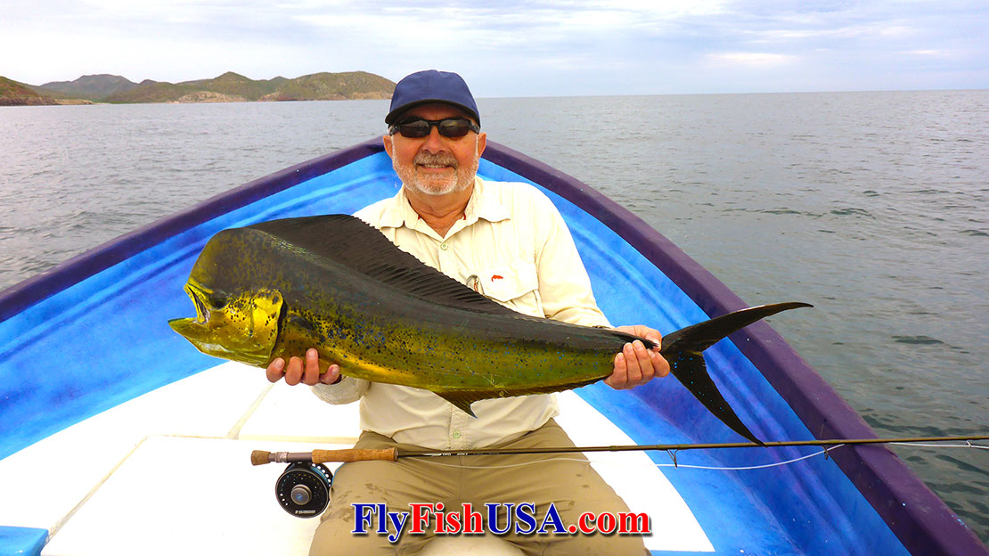 Picture of Mark Bachmann with a dorado fish caught on a Mark's Sardina fly in the Sea of Cortex close to Loreto, Mexico, november 2019 with a TFO Axiom II fly rod,