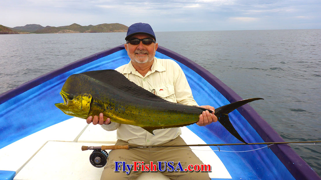 Mark Bachmann displays a large Dorado caught from the waters around Loreto, Mexico.