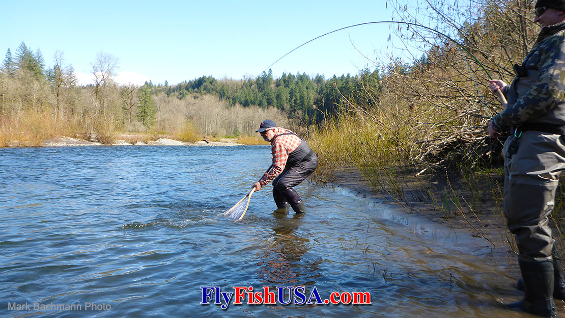 Winter steelhead fly fishing in Oregon.