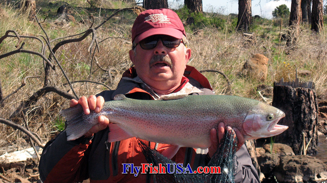 Picture of a large rainbow trout caught from an Oregon lake, while using an Airflo Polyleader.